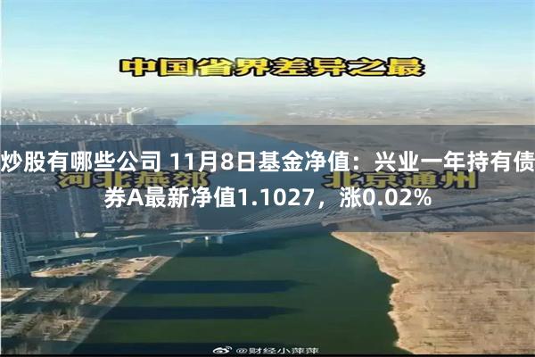 炒股有哪些公司 11月8日基金净值：兴业一年持有债券A最新净值1.1027，涨0.02%