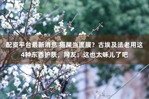 配资平台最新消息 猫屎当面膜？古埃及法老用这4种东西护肤，网友：这也太味儿了吧