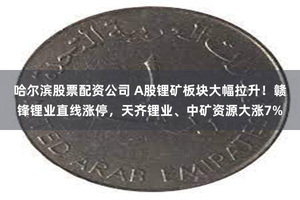哈尔滨股票配资公司 A股锂矿板块大幅拉升！赣锋锂业直线涨停，天齐锂业、中矿资源大涨7%