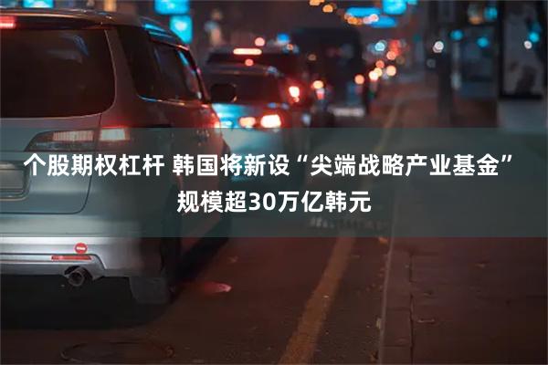 个股期权杠杆 韩国将新设“尖端战略产业基金” 规模超30万亿韩元