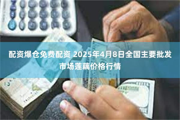 配资爆仓免费配资 2025年4月8日全国主要批发市场莲藕价格行情